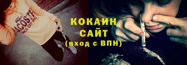 тгк Абаза