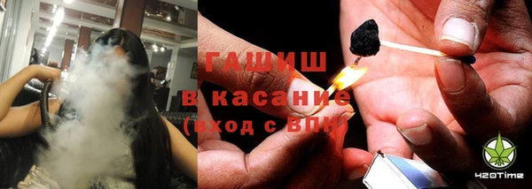 сатива Алзамай