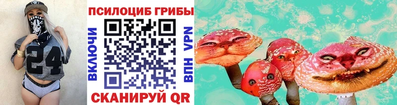 Псилоцибиновые грибы Psilocybe  Зуевка 